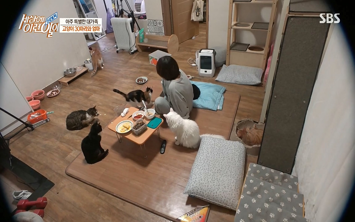 순간포착 세상에 이런일이.E1173.220330p-NEXT.mp4_20220330_174805.875.jpg
