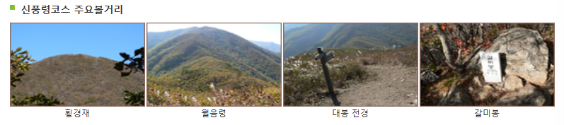 주요 볼거리