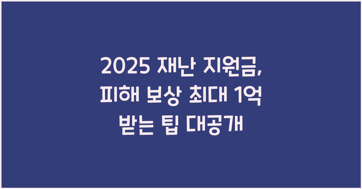 2025 재난 지원금, 피해 보상 최대 1억 받는 팁