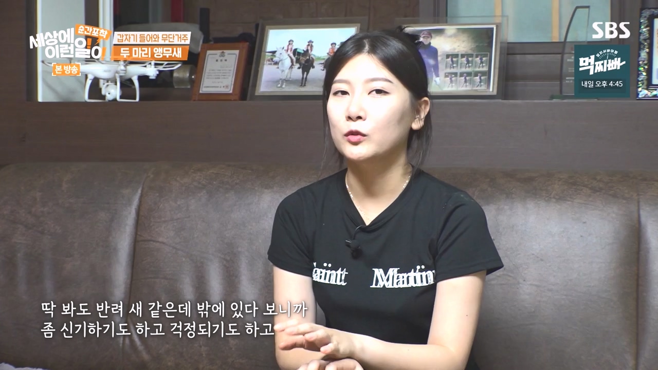 순간포착 세상에 이런일이.E1248.231015p-NEXT.mp4_20231015_164752.289.jpg