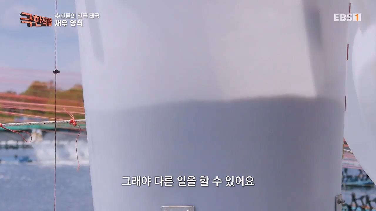 TV - 전 국민의 평생학교 EBS수산물의 천국 태국, 새우 양식과 말린 생선.mp4_20240604_201803.600.jpg