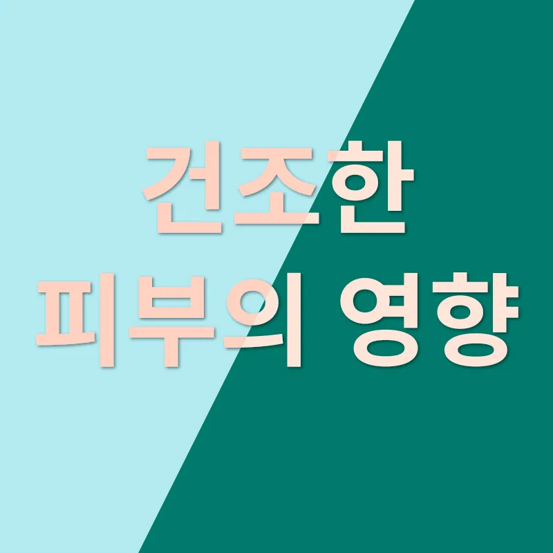 반려동물 보습_1