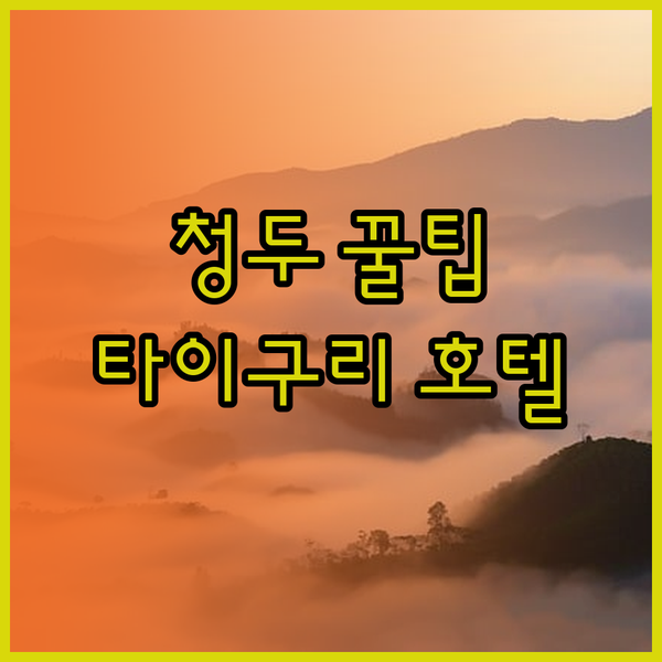 가성비 끝판왕 청두 타이구리 춘시 호