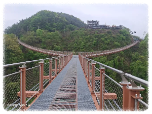 Y자 출렁다리