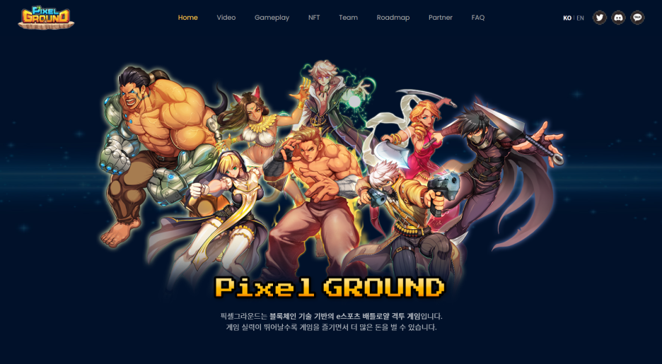 프로젝트 픽셀 이미지