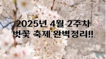 2025년 축제 일정 남한산성 곡성 연천 담양 서울 포항 대구 남양주_19
