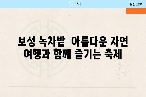 보성 녹차밭  아름다운 자연 여행과 함께 즐기는 축제