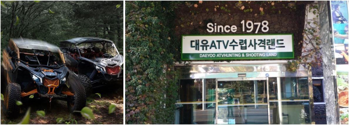 대유랜드 버기카