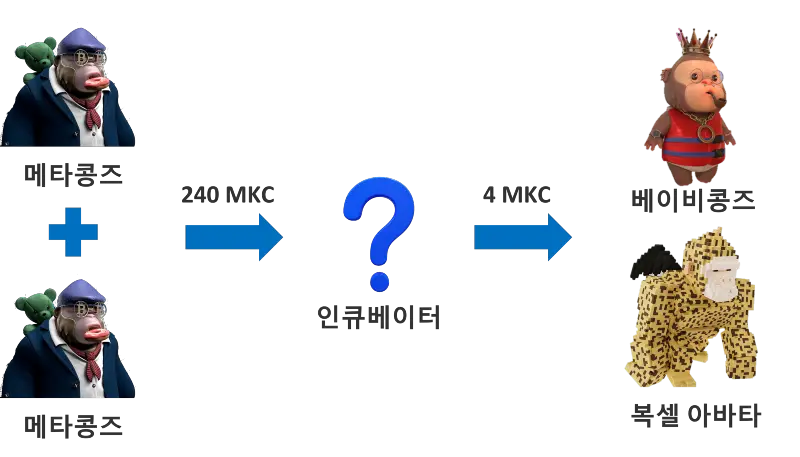 베이비콩즈와 복셀 아바타 브리딩 과정