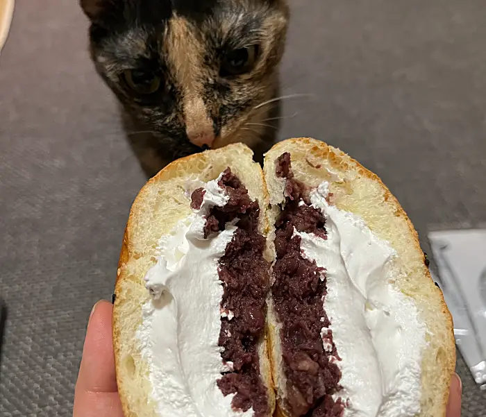 고양이와 빵의 단면