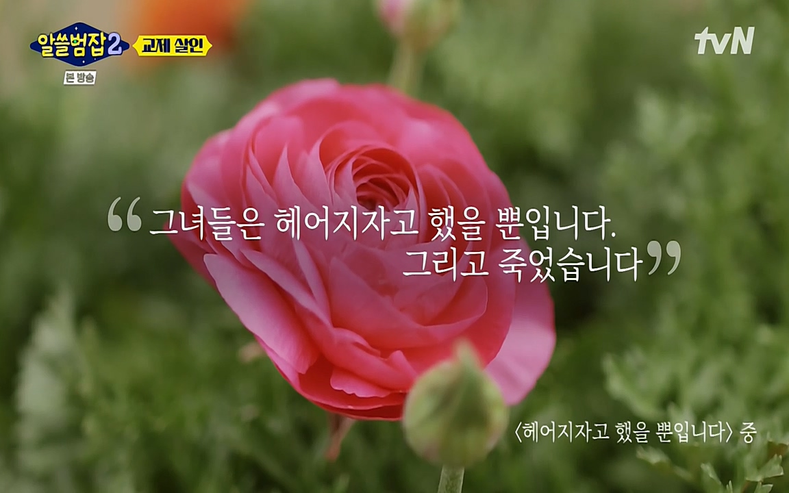 알쓸범잡 2.E14.220418p-NEXT.mp4_20220418_184128.325.jpg