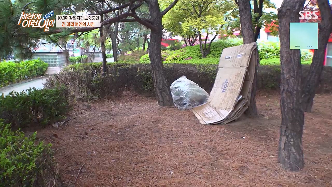 순간포착 세상에 이런일이.E1228p-NEXT.mp4_20230503_200101.850.jpg