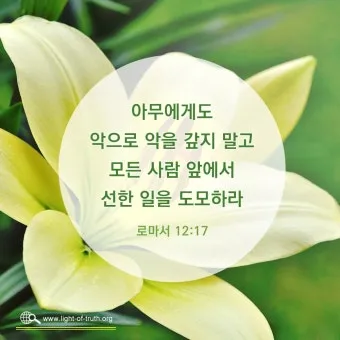 마음의 평화를 찾게 해주는 성경 말씀 평화 위로_27