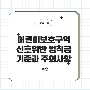 어린이보호구역 신호위반