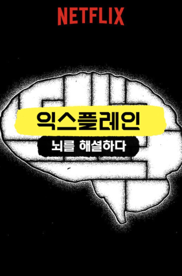 넷플릭스익스플레인뇌해설집중력창의력