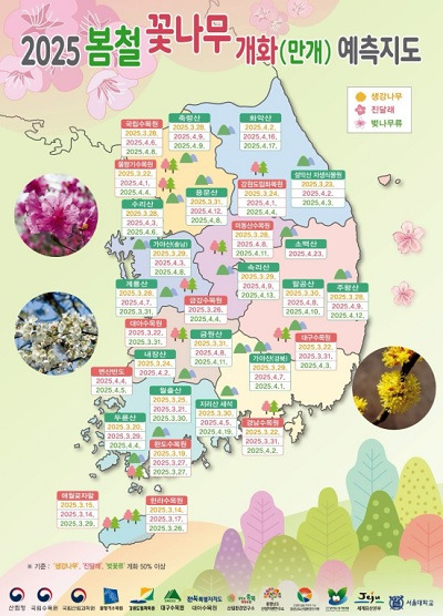 25년 벚꽃 개화시기 지도