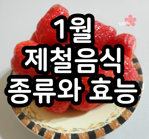  1월 제철음식, 해산물, 과일/ 반찬 메뉴에요