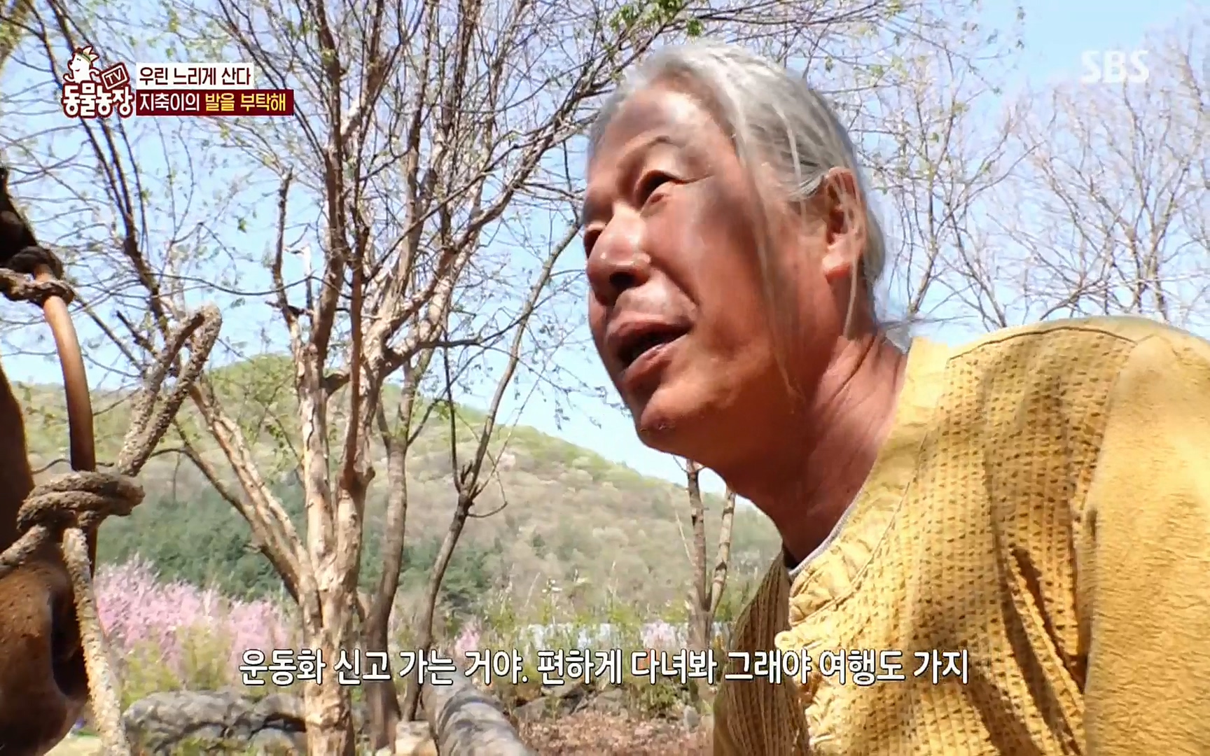 TV 동물농장.E1074.220619p.H264-F1RST.mp4_20220619_181903.908.jpg