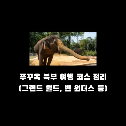 푸꾸옥 북부 여행 코스 그랜드 월드 빈원더스 빈펄 사파리 루트 정리