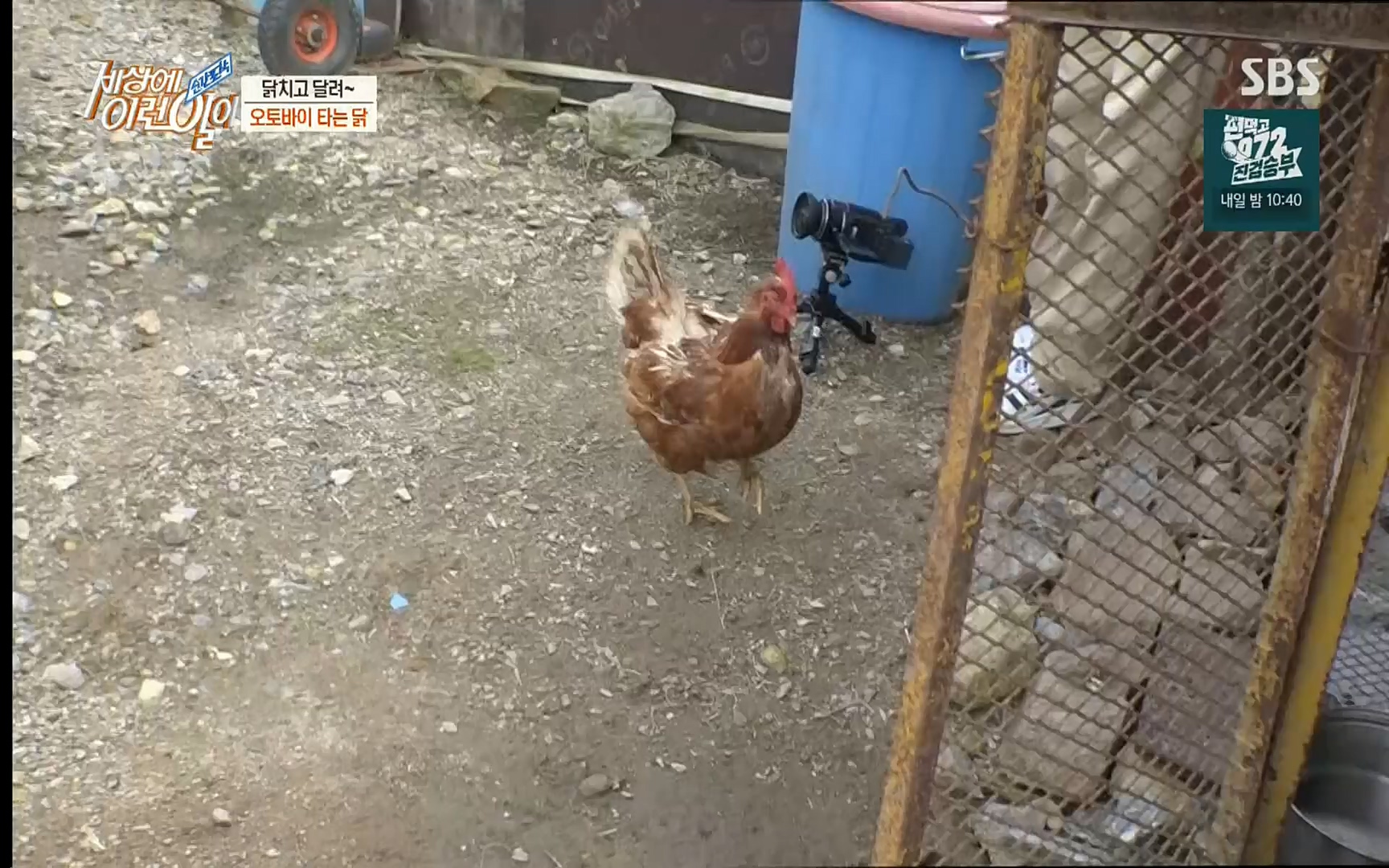 순간포착 세상에 이런일이.E1196.220906p.H264-F1RST.mp4_20220907_203322.905.jpg