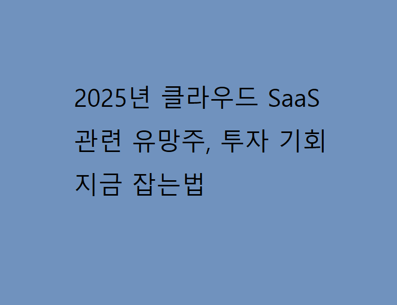 2025년 클라우드 SaaS 관련 유망주, 투자 기회 지금 잡는법
