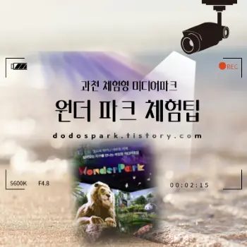 원더파크 체험팁 문구와 원더파크 포스팅을 비추고있는 영상카메라와 조명