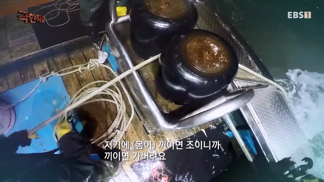 TV - 전 국민의 평생학교 EBS봄의 전령사! 새조개, 미나리, 주꾸미.mp4_20240316_171243.314.jpg