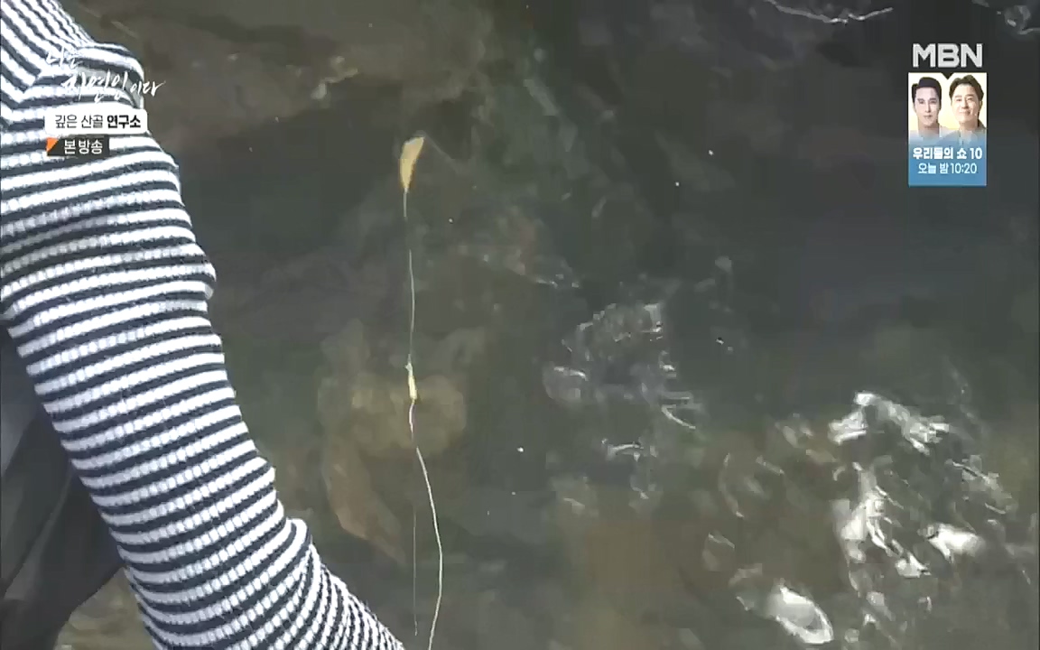 나는 자연인이다.E523.221013p.WANNA.mp4_20221013_201142.825.jpg