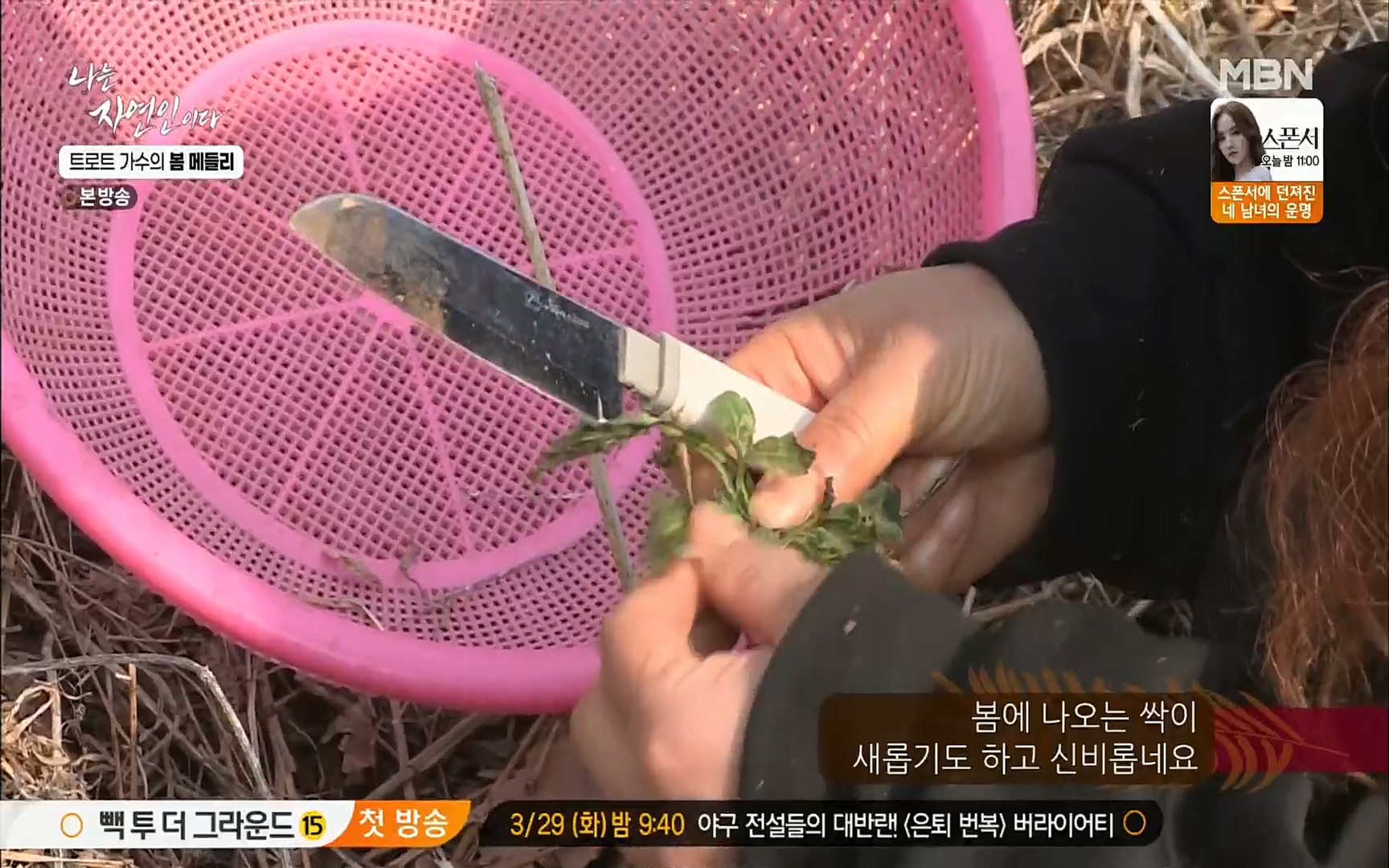 나는 자연인이다.E494.220323p.H264-F1RST.mp4_20220324_183511.882.jpg