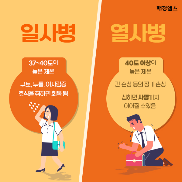 열사병 증상 예방법 응급조치 