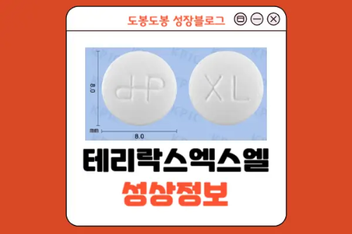 테리락스엑스엘서방정 성상 정보 이미지