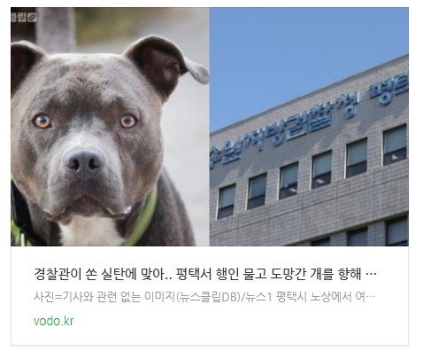  [오후뉴스] "경찰관이 쏜 실탄에 맞아.." 평택서 행인 물고 도망간 개를 향해 실탄 쐈지만 지나가던 행인 맞아