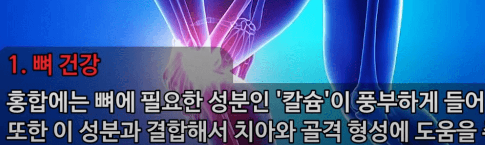 홍합의 효능