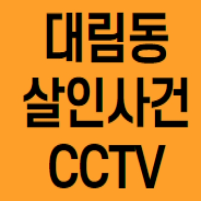  대림동 살인사건 칼부림 CCTV 영상