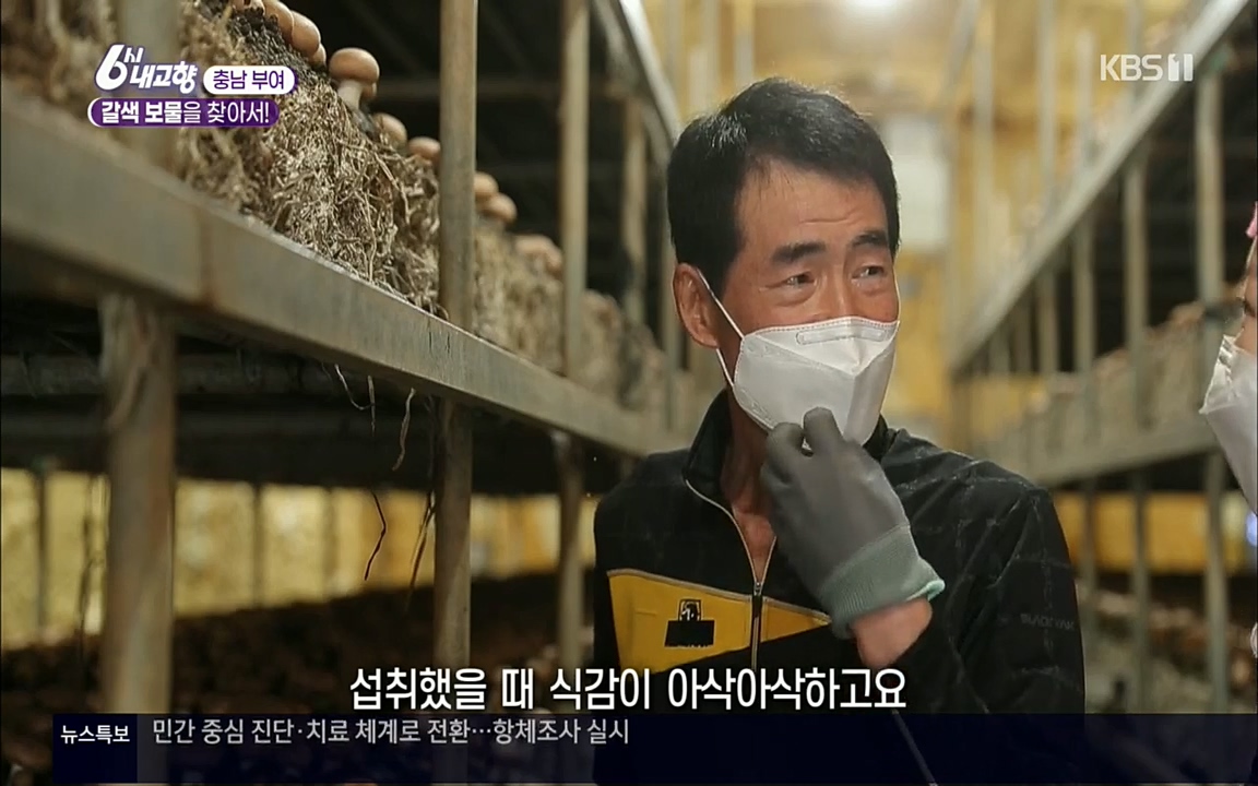 6시 내고향.E7512.220416p.H264-F1RST.mp4_20220502_185342.587.jpg