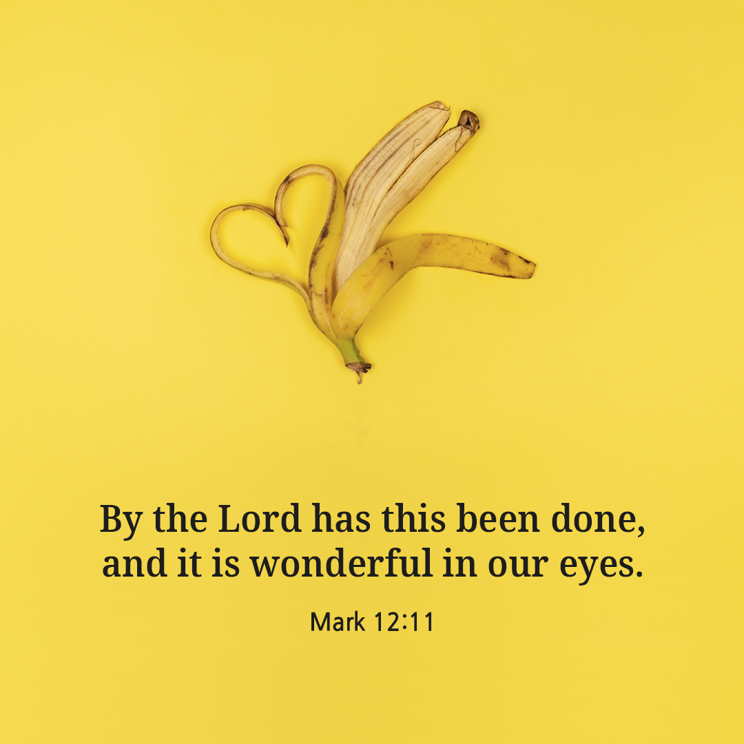By the Lord has this been done&#44; and it is wonderful in our eyes. (Mark 12:11)