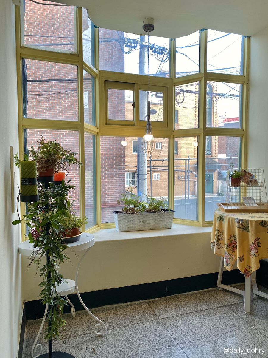 소녀감성케이크와 파블로바 17