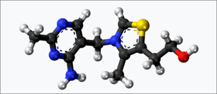 티아민(비타민B1) 분자모형