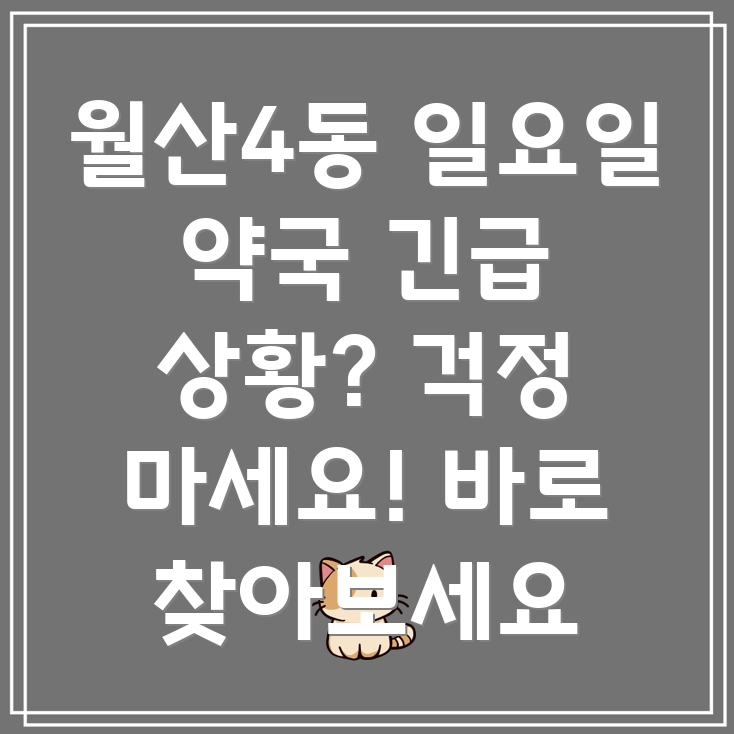 광주 남구 월산4동 일요일 영업 약국