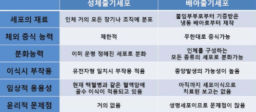 성체줄기세포 배아줄기세포 비교