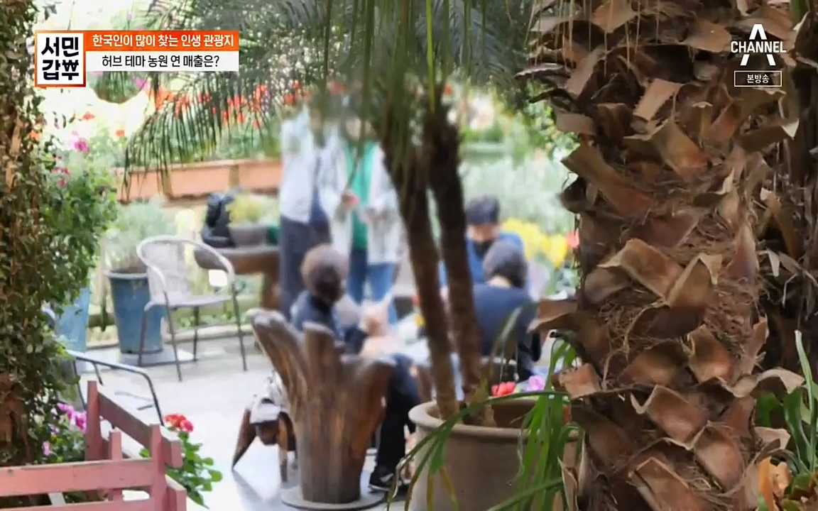 서민 갑부.E380.220424p-NEXT.mp4_20220424_184344.182.jpg