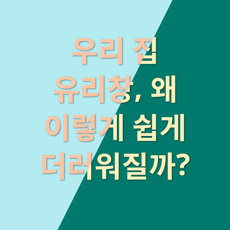 유리창 청소_1