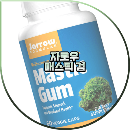  자로우 매스틱검 효능 및 복용법/가격 등 정리 :: 위에 좋은 건강 식품