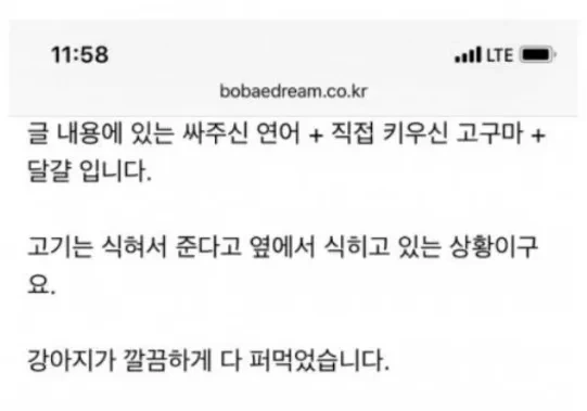 어머니가 싸다주신 음식을 개밥으로 준 와이프ㄷㄷㄷ 5