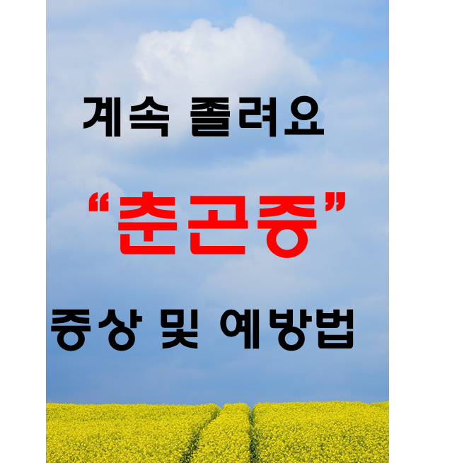  갑자기 쏟아지는 잠 춘곤증의 원인과 예방법
