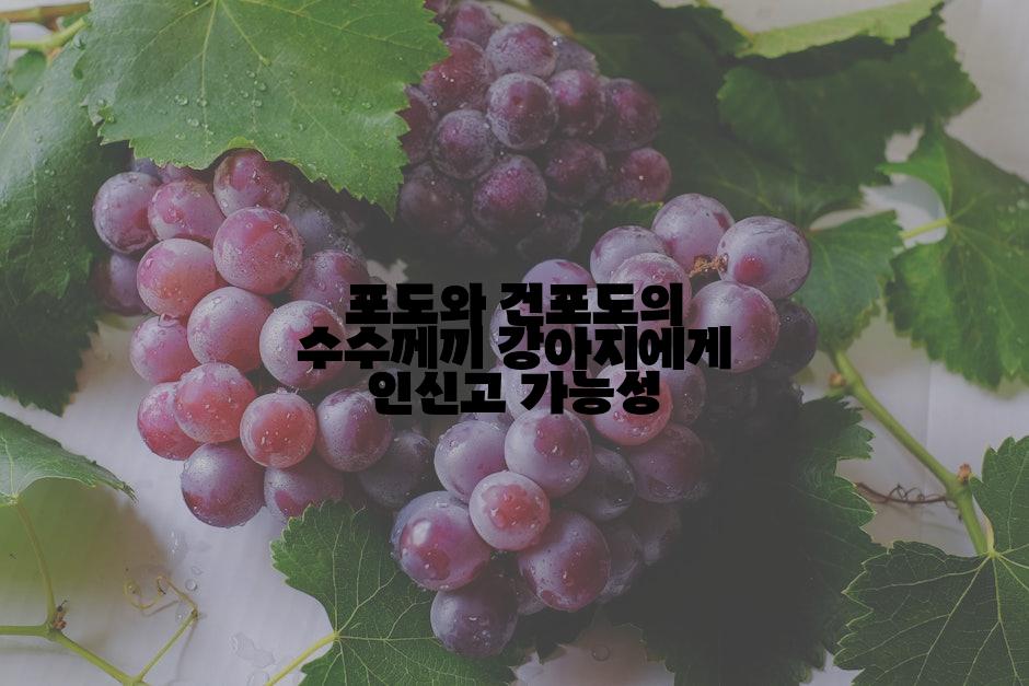 포도와 건포도의 수수께끼 강아지에게 인신고 가능성