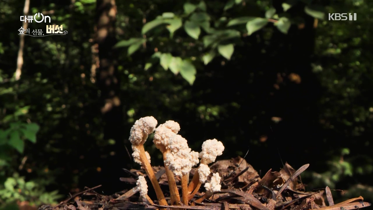 다큐 온.E227.231120p-NEXT.mp4_20231121_201840.716.jpg