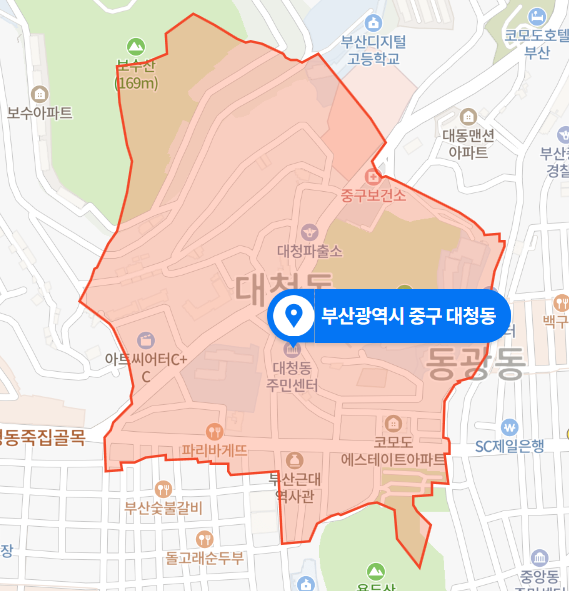  2021년 1월 - 부산 중구 대청동 순찰차 교통사고 사망사건