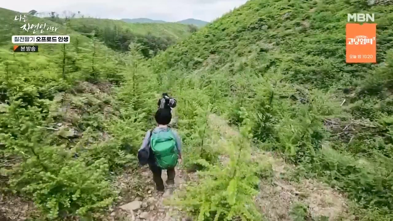 나는 자연인이다.E557.230608p-NEXT.mp4_20230608_194906.302.jpg