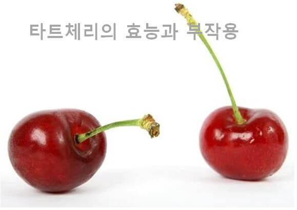  타트체리 효능 및 부작용